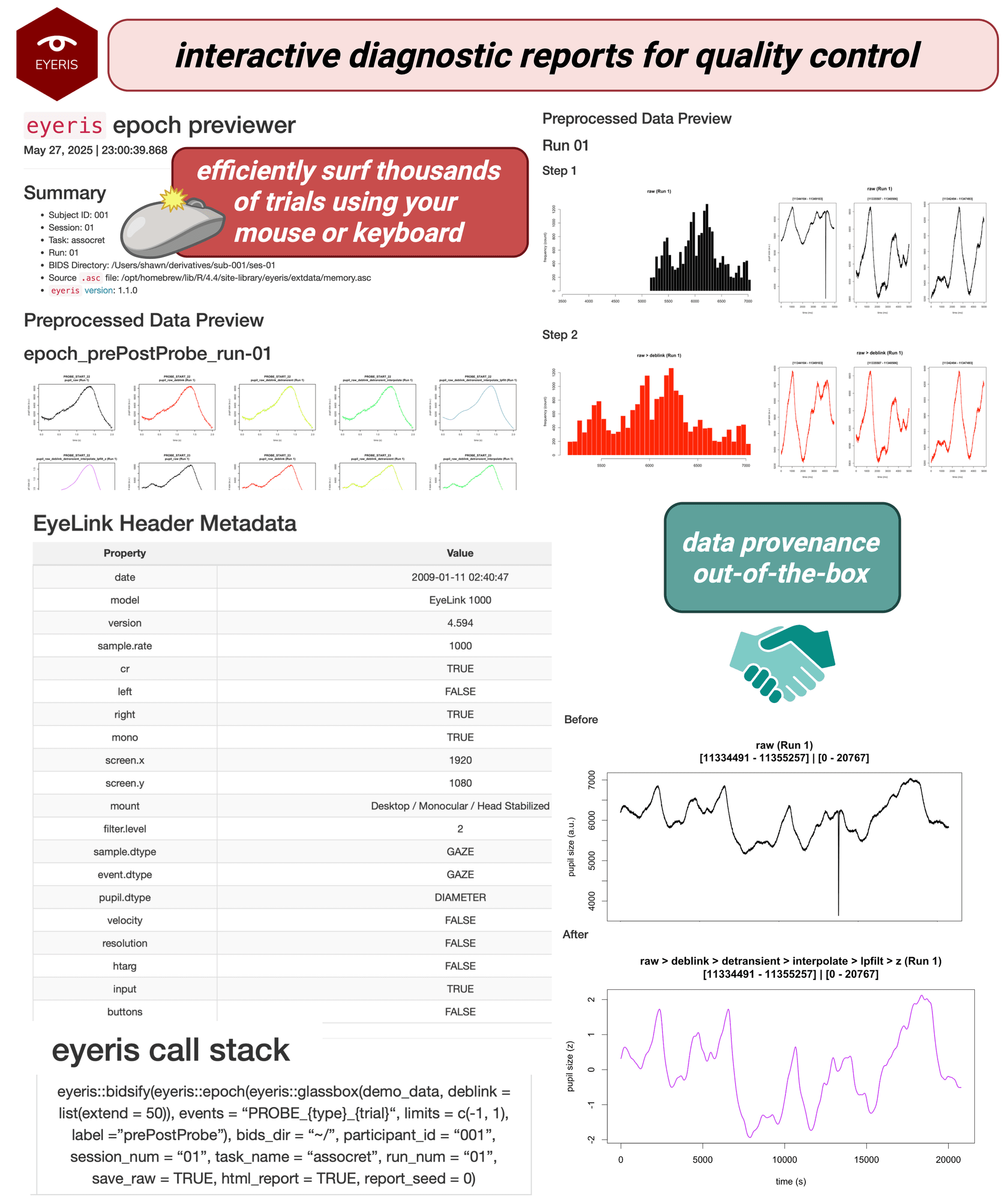 Full HTML report screenshot showing table of contents, preprocessing steps, and embedded plots