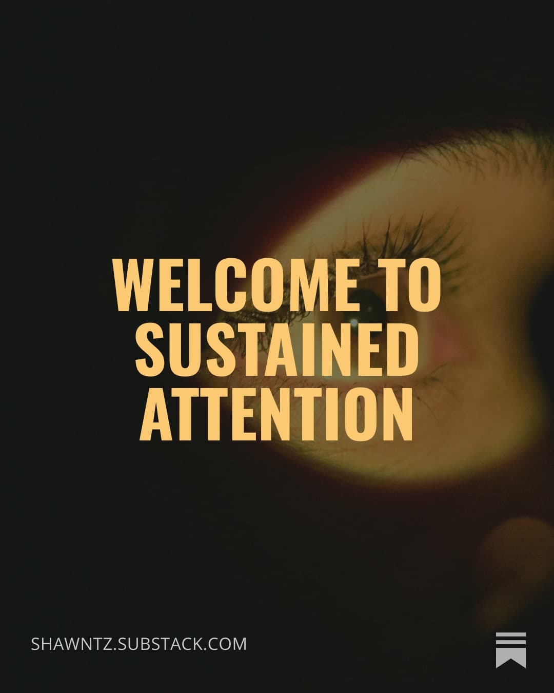 Welcome to Sustained Attention