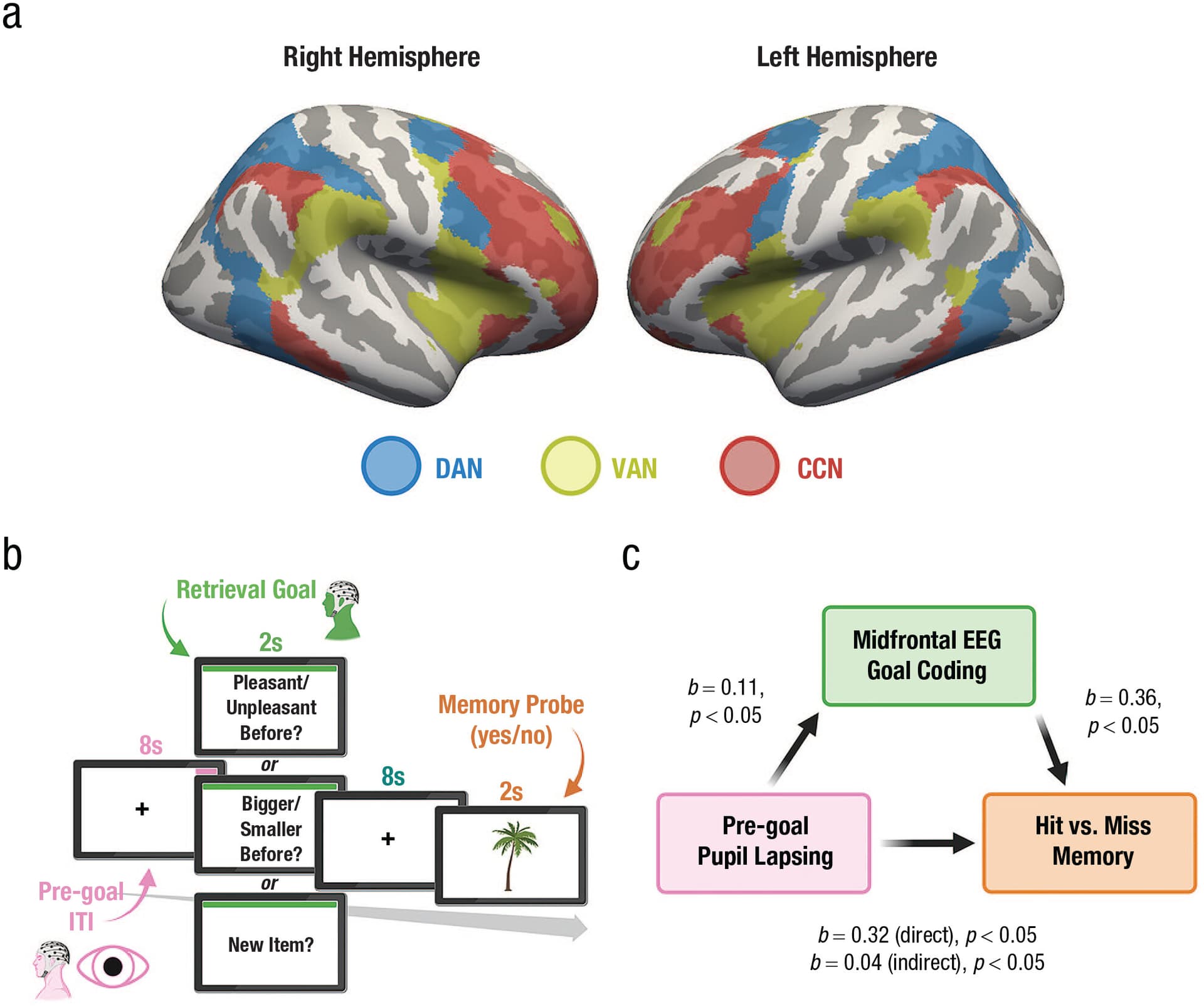 Fig. 1. Assessing the influence of attention on memory retrieval.